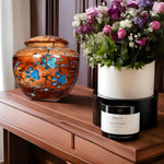 Load image into Gallery viewer, High-Capacity Wooden Pet Cremation Urns for Dogs &amp; Cats  - Memorial Urns for Ashes - Paw Prints &amp; Lichtenberg Art  (Extra Large (7&quot; L x 7&quot; W x 9&quot;))
